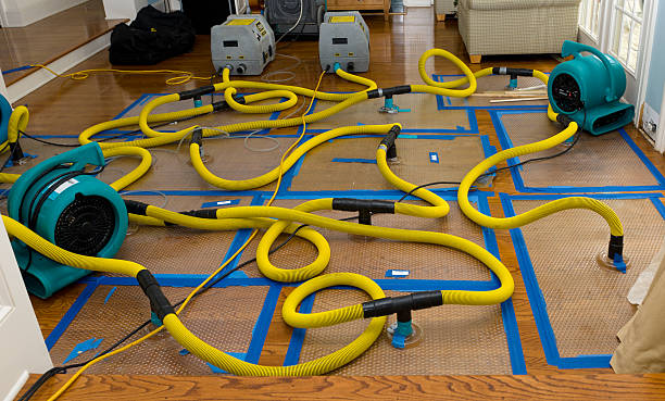 Professional Flood Damage Restoration technician working in Woodbury, NY
